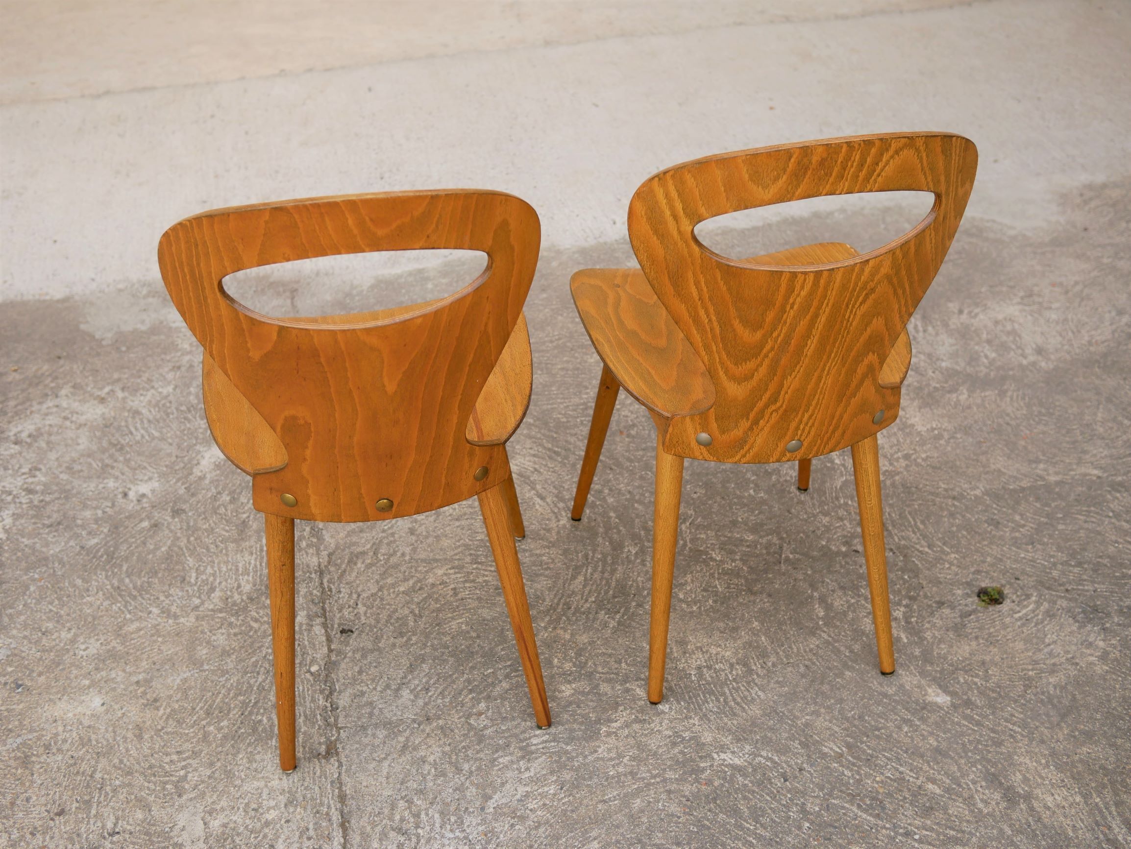 "Ant" Chair by Baumann editions