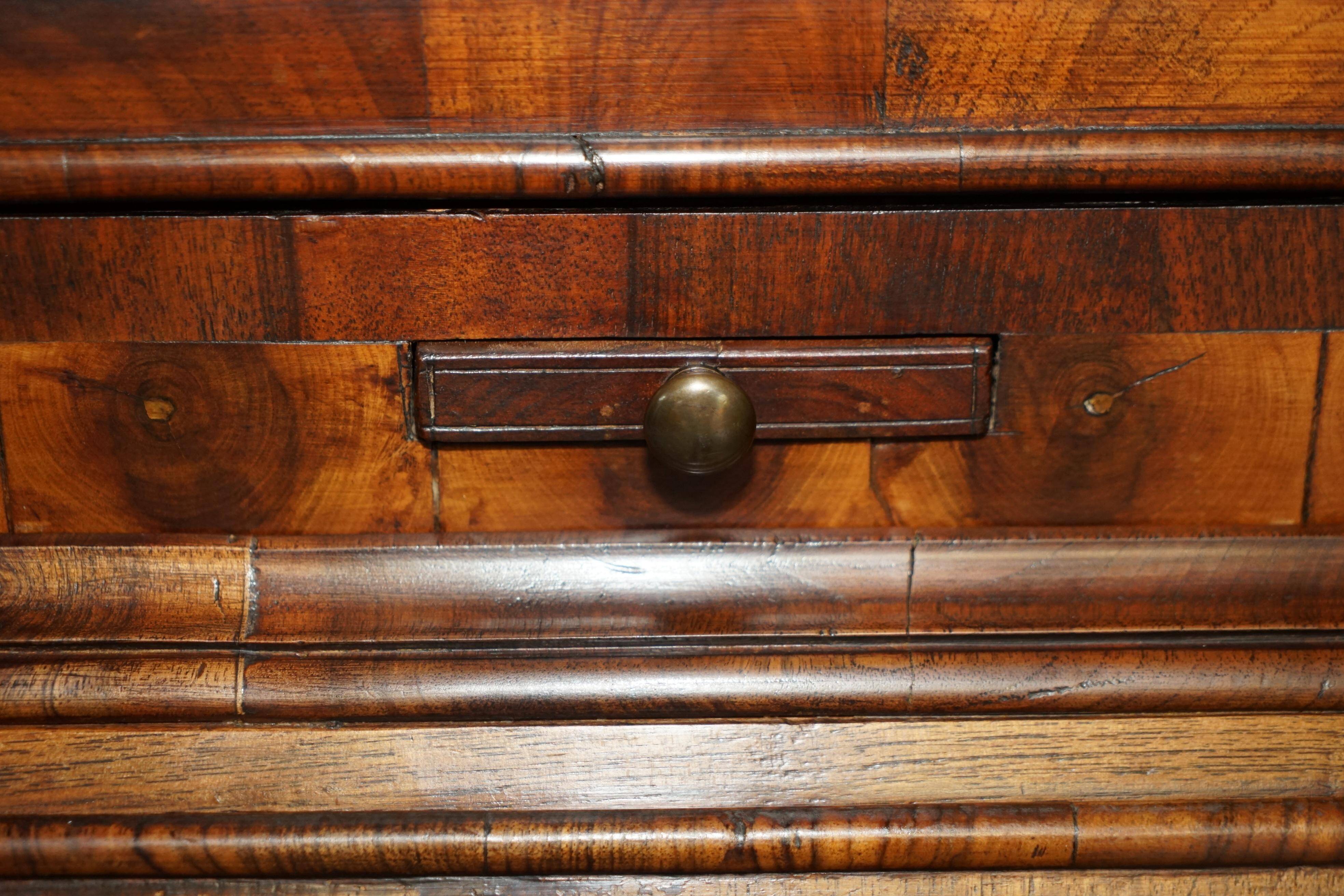 Antique Georgian Display Cabinet in Oyster Veneer circa 1780