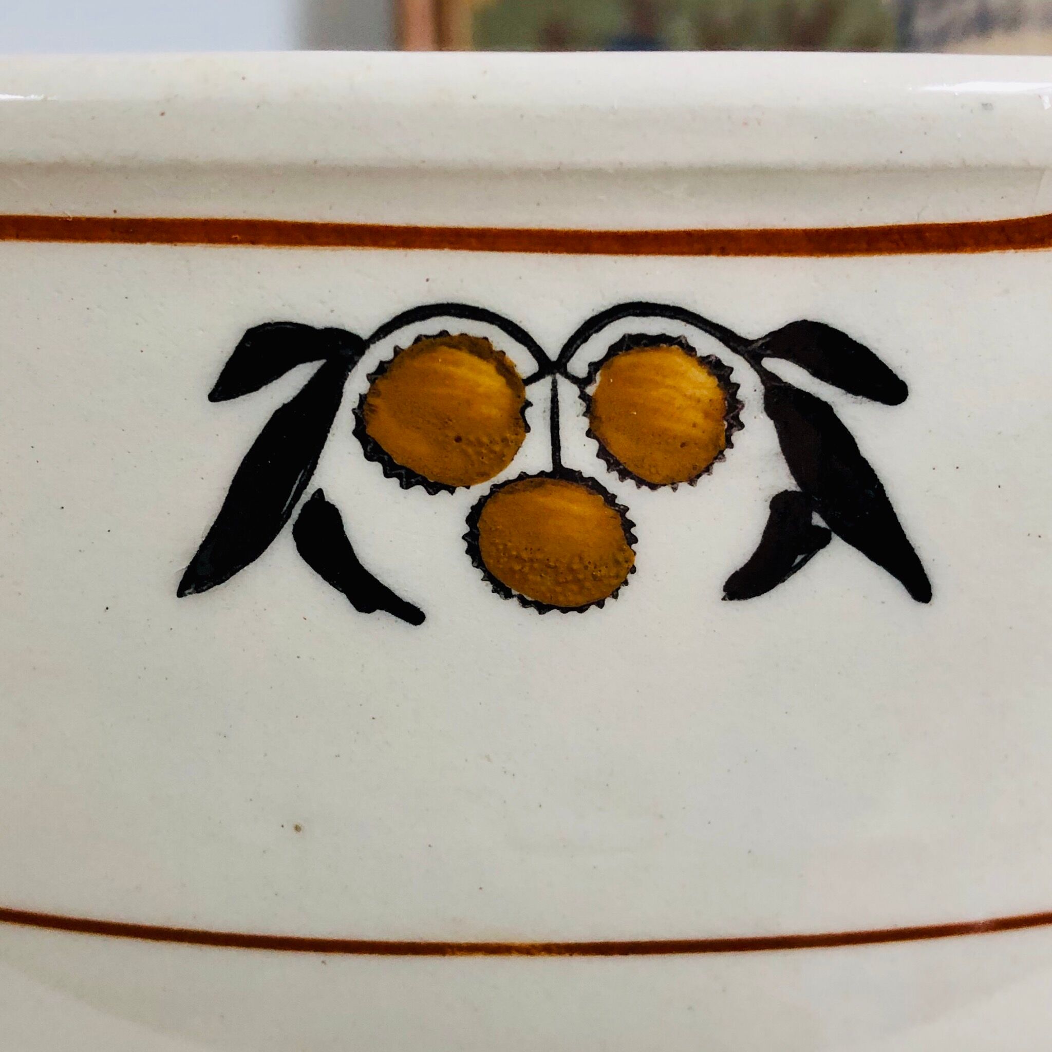 Salins Iron Earth Bowl