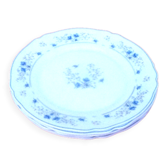 5 flat plates Arcopal France Model Venorica Blue flowers Forget-me-not