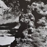 Anonymous silver photo tree circa 1970