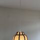 Tulip shaped pendant lamp