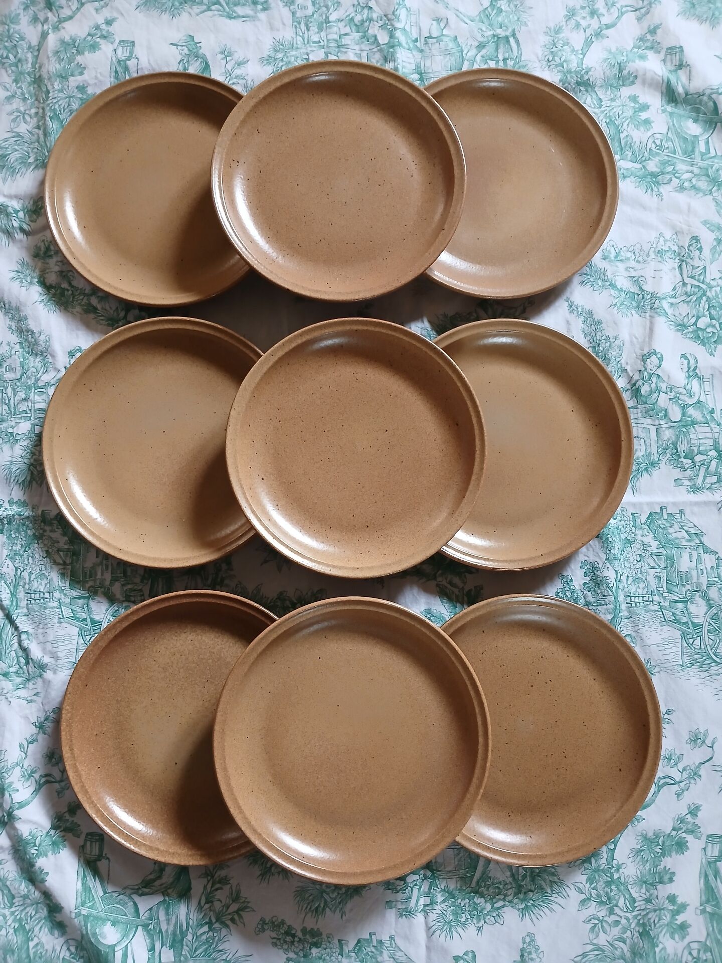 9 flat plates in Sarreguemines stoneware