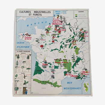 Poster school map Industrial crops & forests The Garonne its tributaries