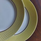 Flat plates Moulin des Loups Orchies (North)