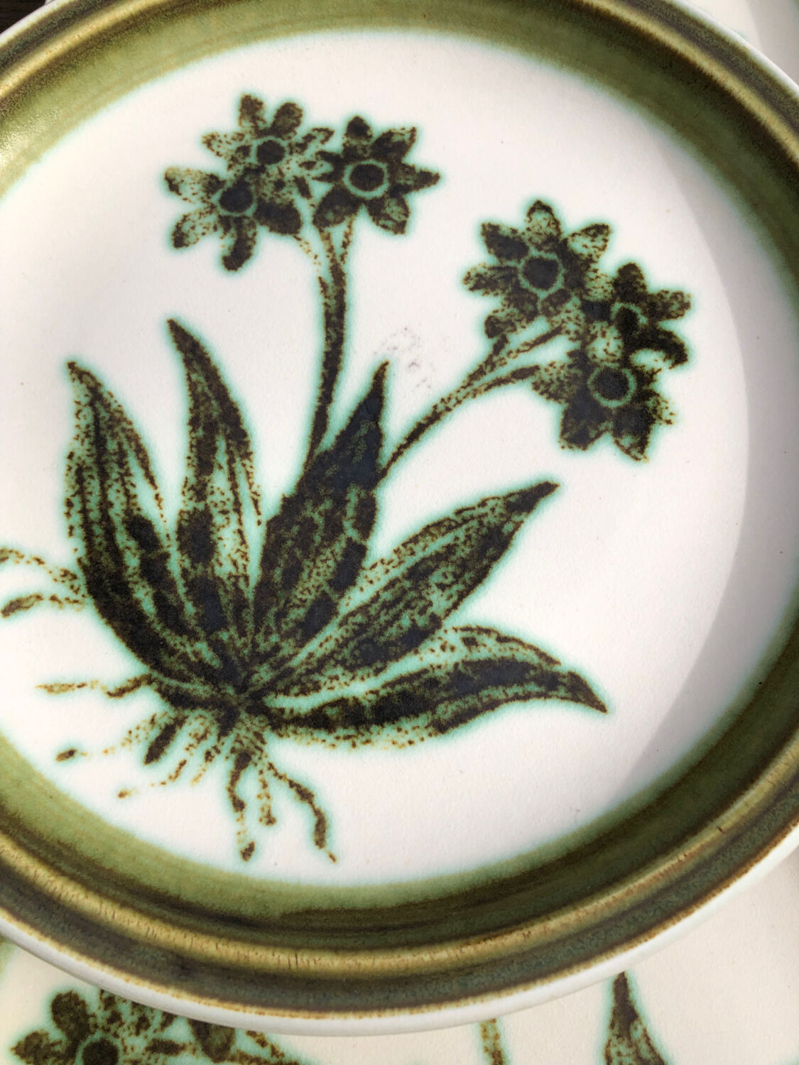 Gien enamelled sandstone dessert plates "Herbier"