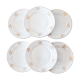 6 antique Bavarian porcelain plates by Seltmann Weiden