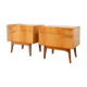 Pair of nightstands vintage 1960 vintage