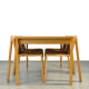 Dining room set SE15 by Pierre Mazairac & Karel Boonzaaijer for Pastoe, 1976 Netherlands