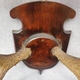 Hunting trophy chevreuil horns