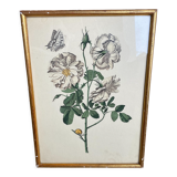 Engraving rose flower gilded frame