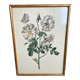 Engraving rose flower gilded frame