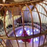 Old bird cage made of bamboo and wood