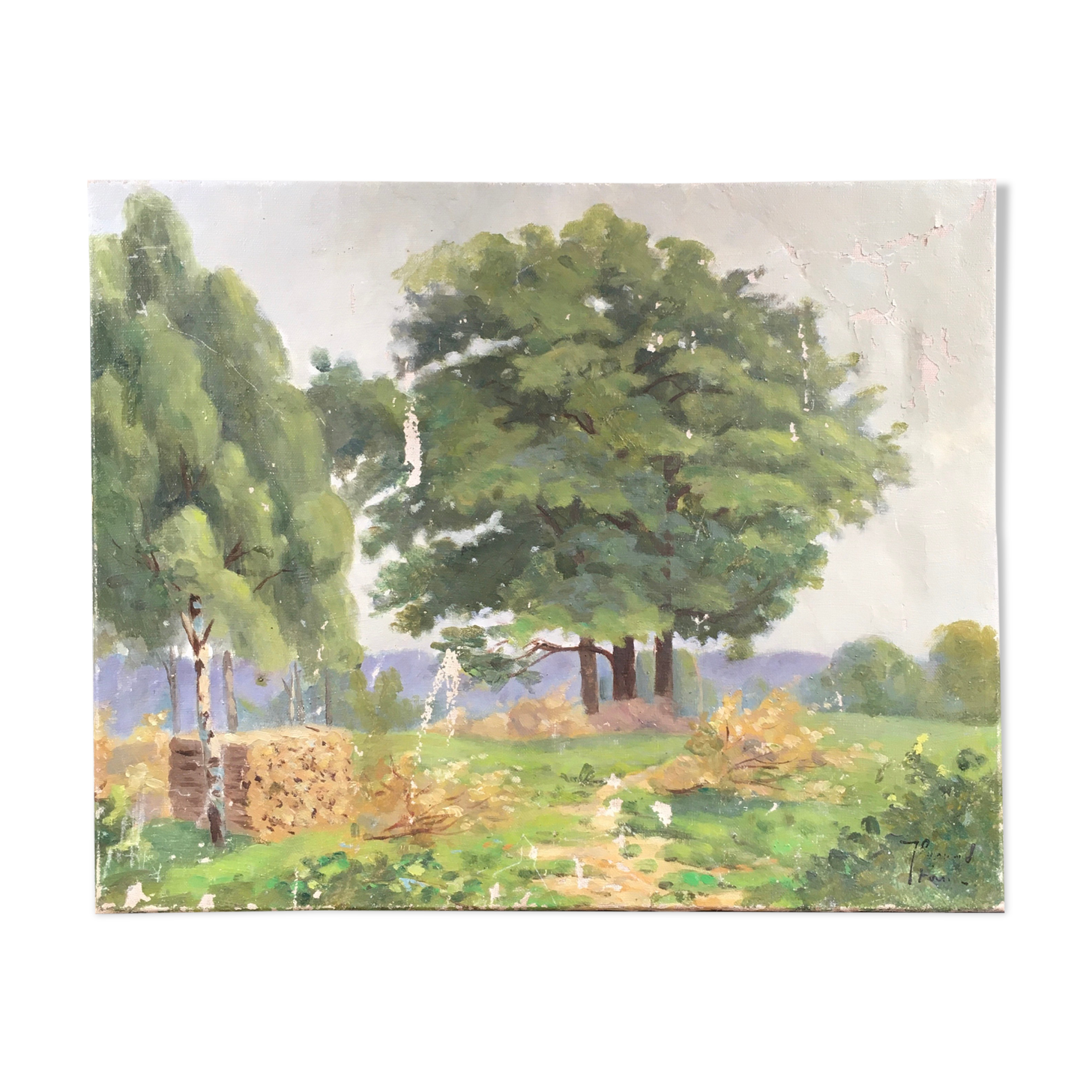 Old green trees table