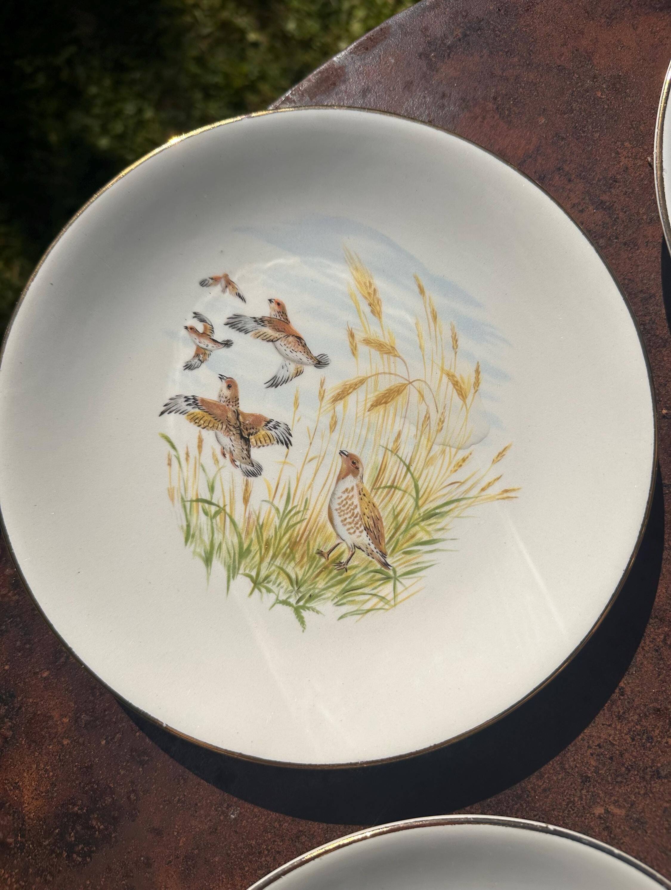 Set of 5 flat plates in Gien earthenware, Primefleur collection.