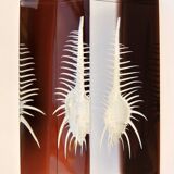 INCLUSION Vintage RESIN SHELL MUREX curiosity cabinet