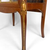Art Nouveau display case, bronzes and carved wood on a floral theme, circa 1900
