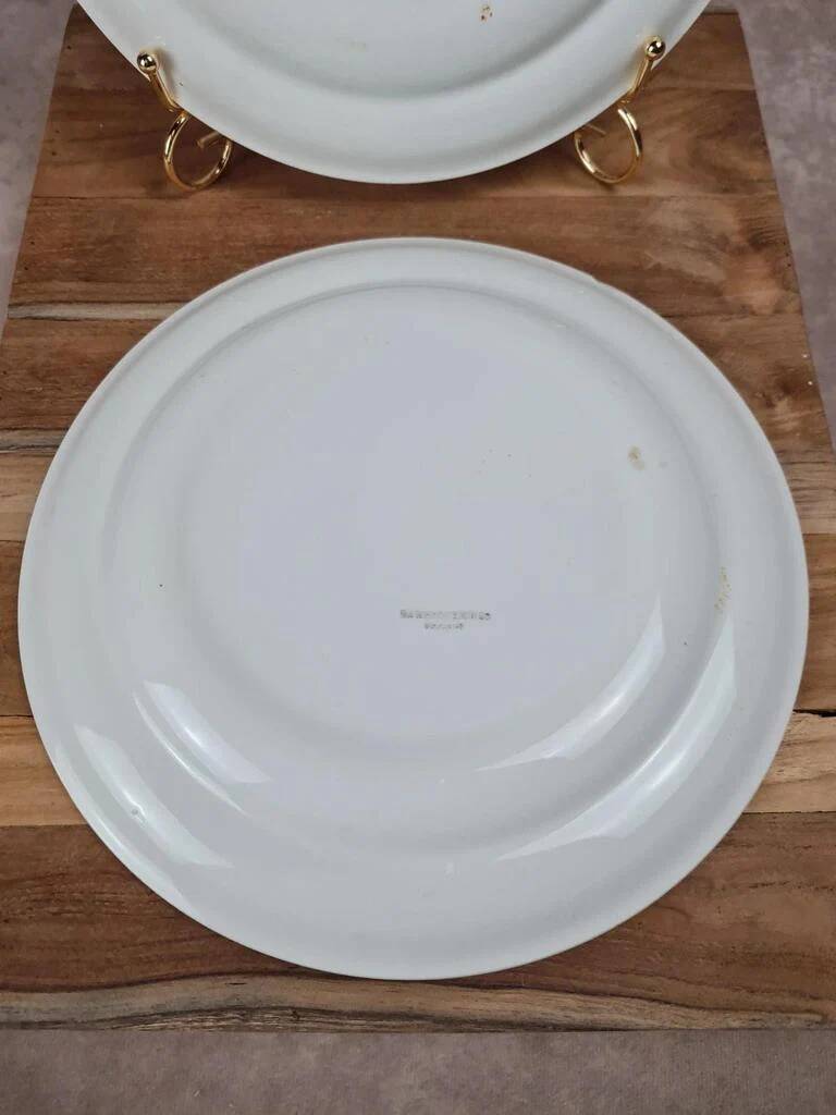 Lot de 2 assiettes plates Sarreguemines décor orange vintage