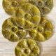 Oyster plates in slip, Gien ceramics