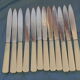 Lot de 12 couteaux vintage lame inox