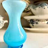 Blue opaline soliflore
