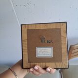 Vintage naturalized butterfly frame