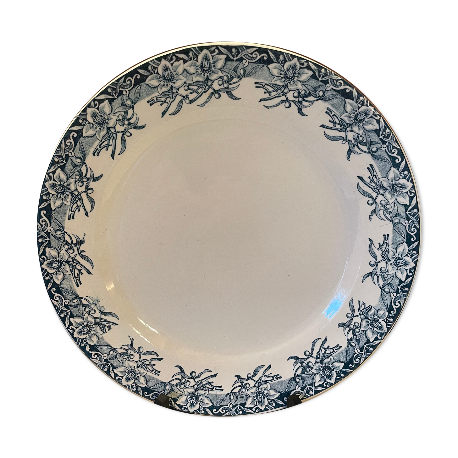 Flat Iron Earth "Velleda"