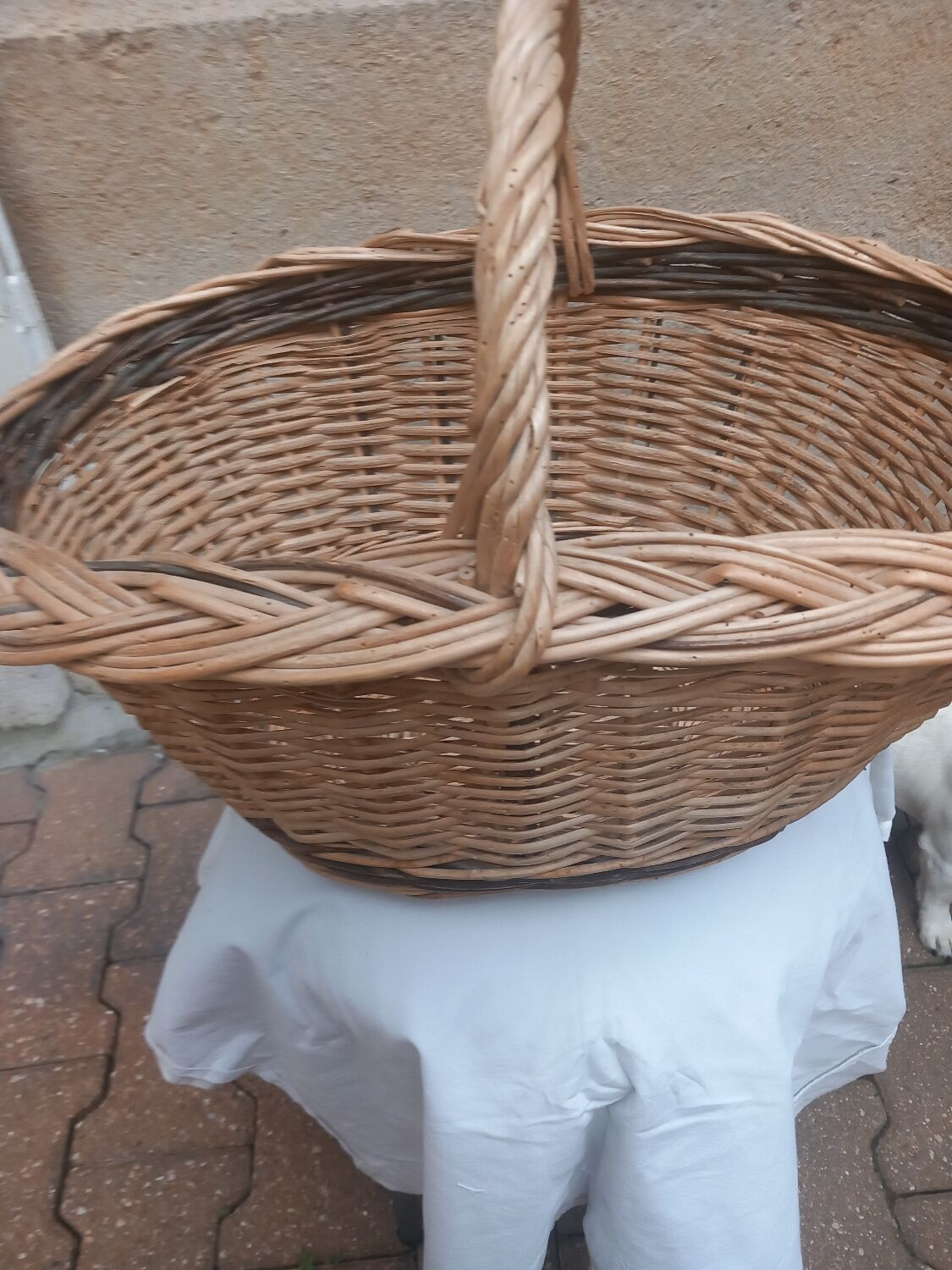 Oval basket woven wicker and hazel