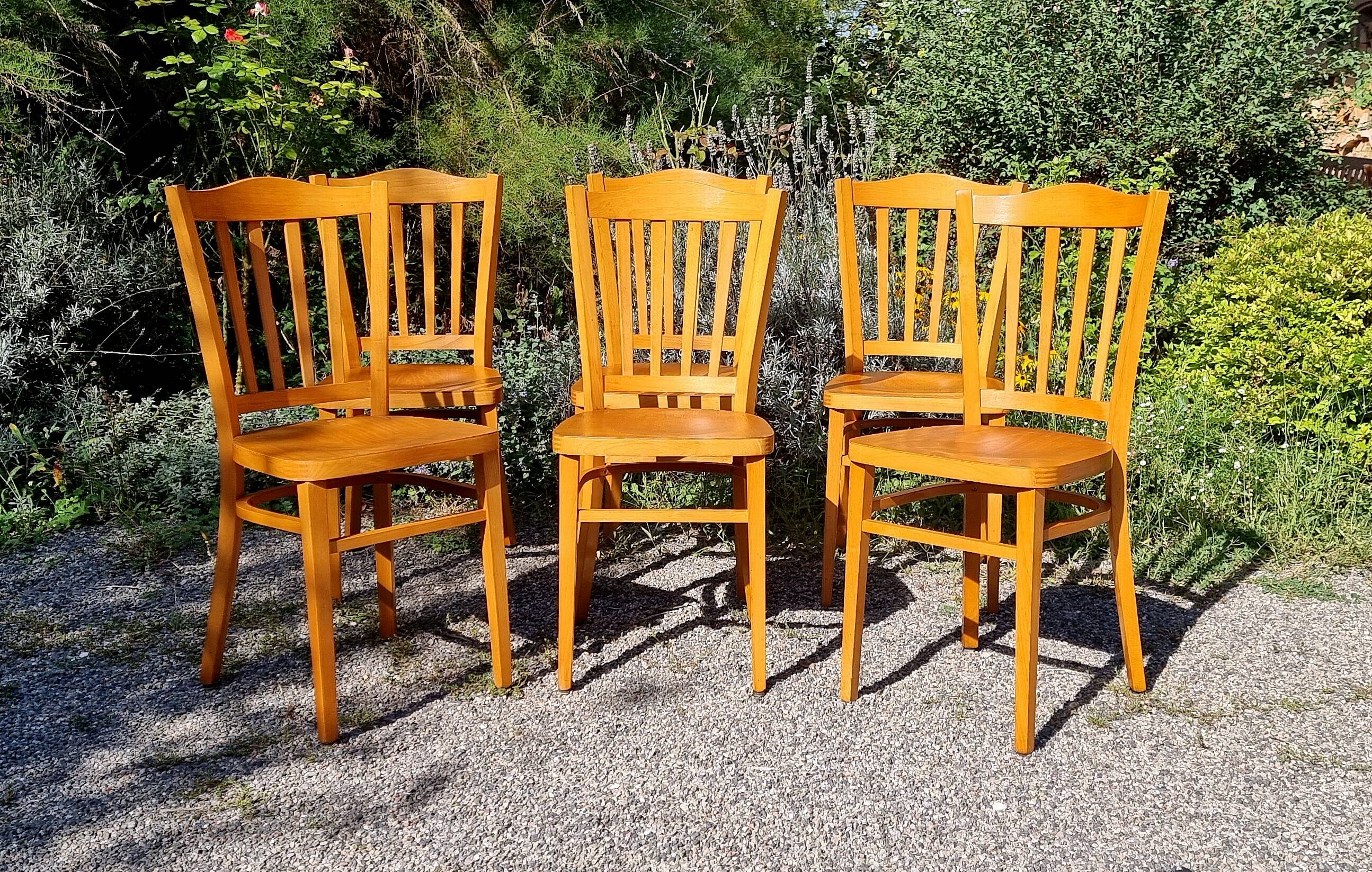 6 bistro chairs in curved beech from the 70s