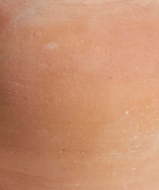 Round terracotta vase