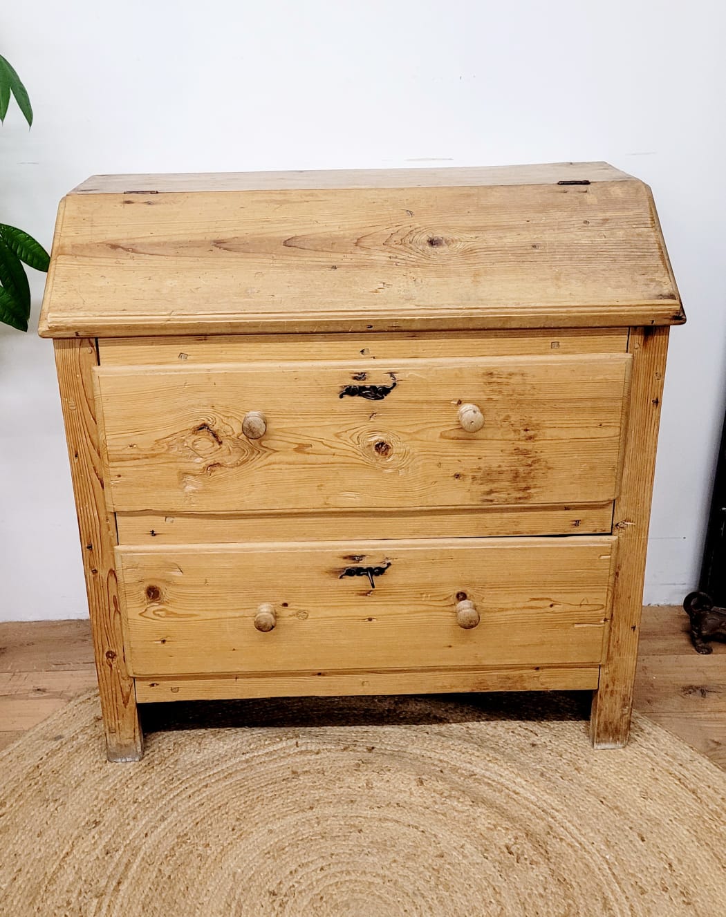 Donkey Back Secretary