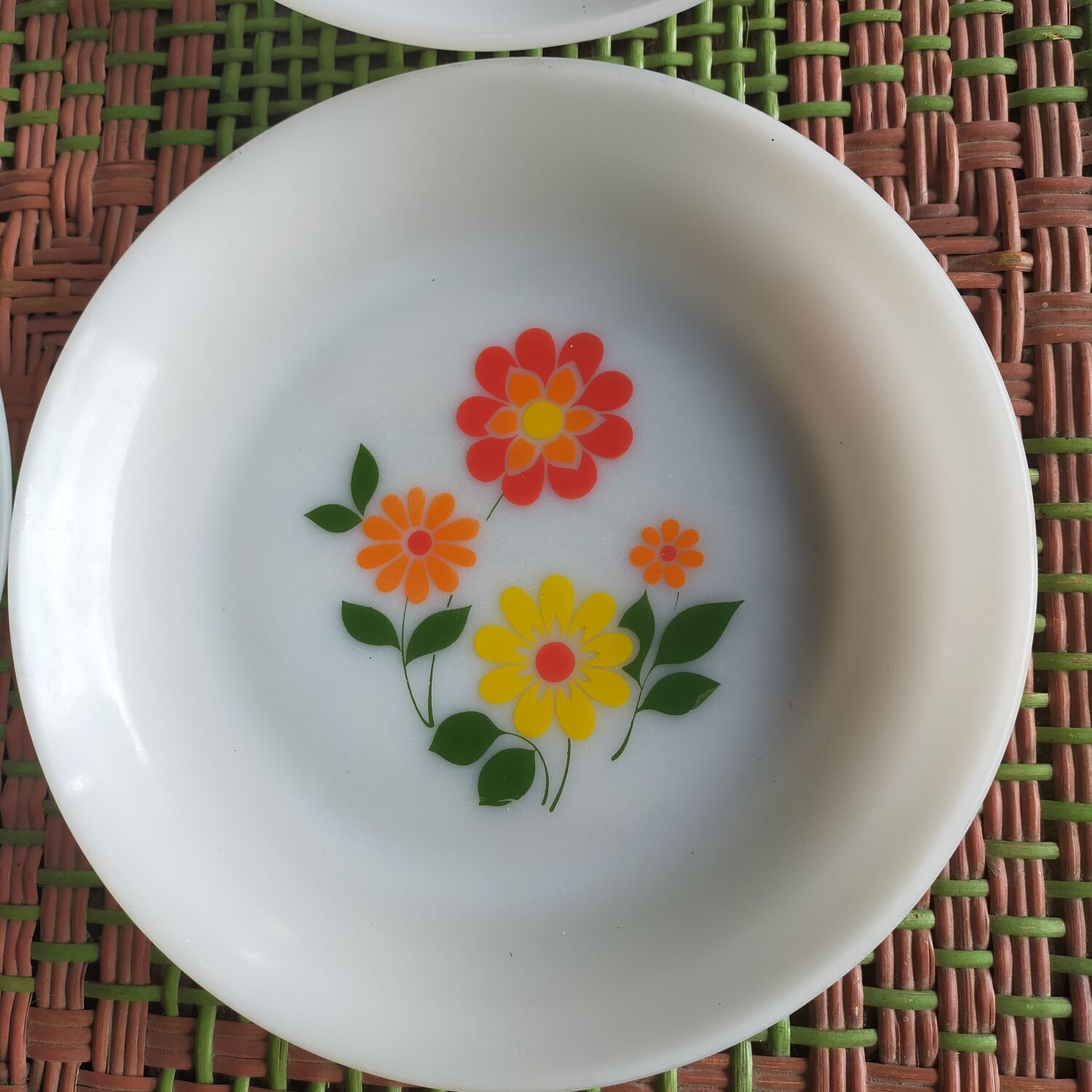 Arcopal seventies plates