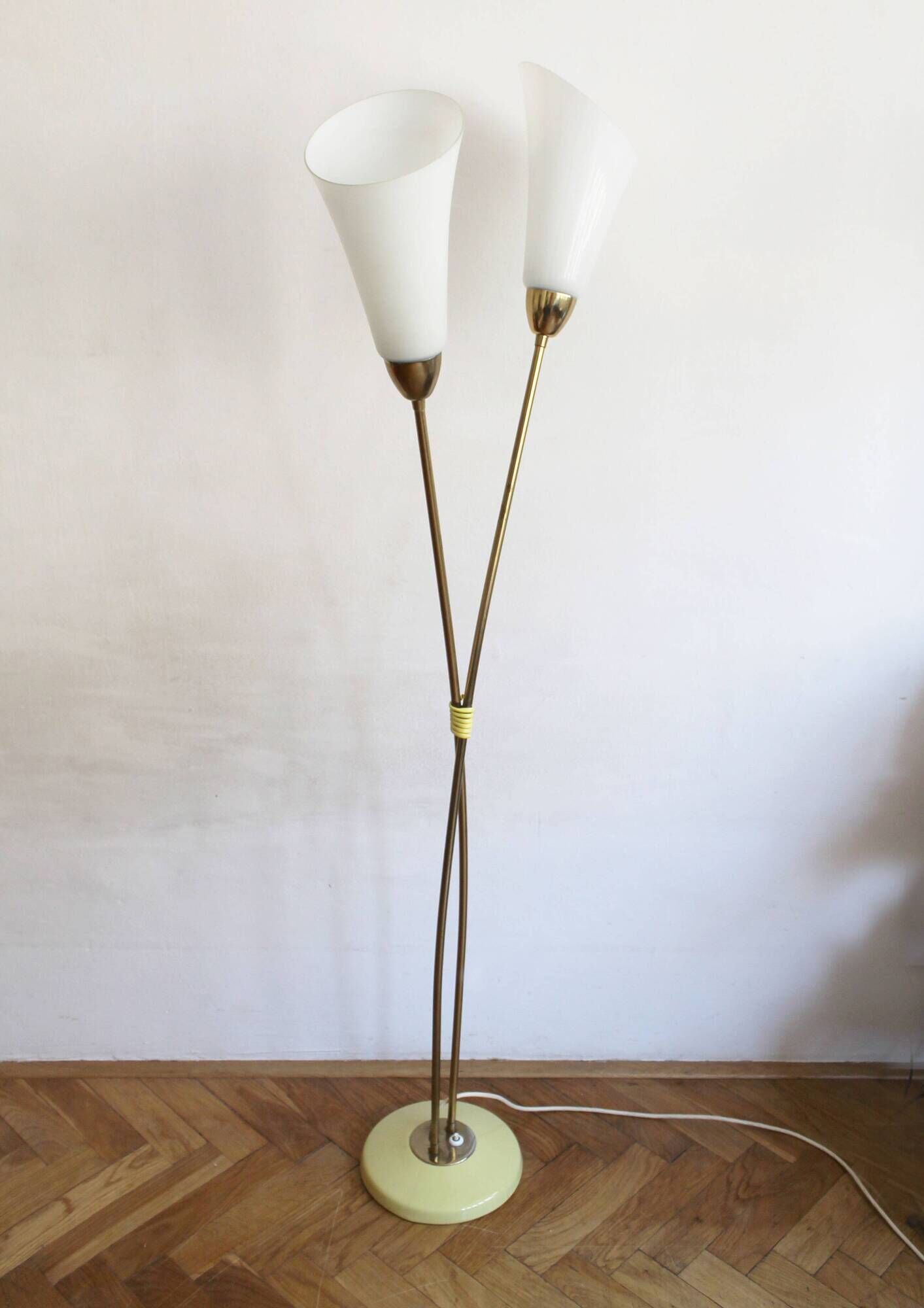 Sculptural Czech Floor Lamp with Twin Milk Glass Shades, 1960s