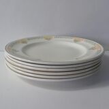 Iron earth 6 flat plates Savigny