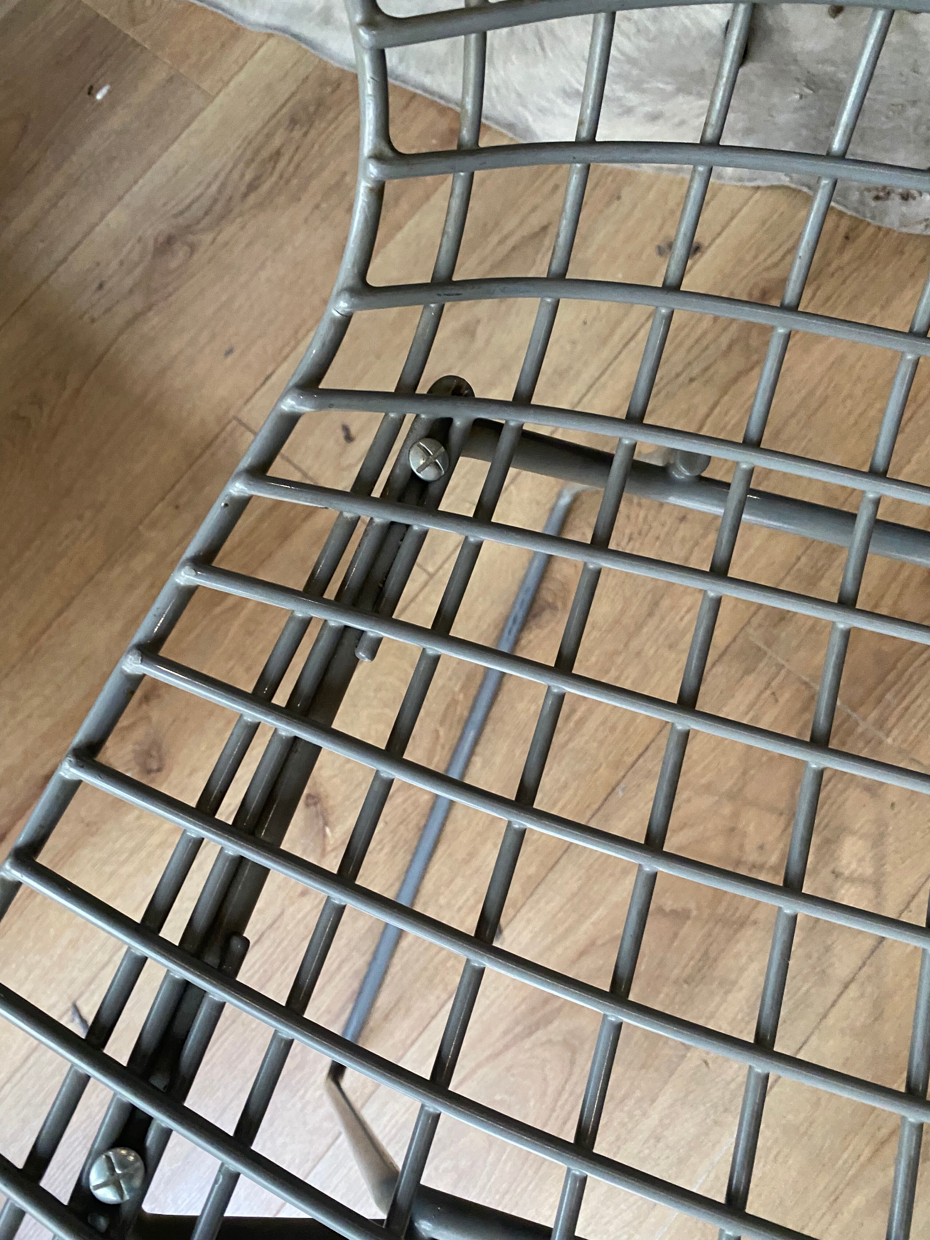 Chair Bertoia Rislan gray edition Knoll with white cake year 80