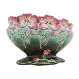 Gardener in dabbling