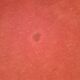 Round carpet in red moumoute style pelfran diameter 130cm vintage
