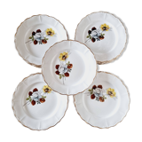 6 Assiettes Creuses Porcelaine Française Sarreguemines Fleurs Marron