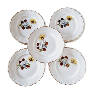 6 Assiettes Creuses Porcelaine Française Sarreguemines Fleurs Marron