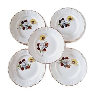 6 Deep Plates French Porcelain Sarreguemines Brown Flowers