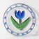 Kosta Boda Tulip Glass Plate: Ulrica Hydman Vallien, Swedish Design