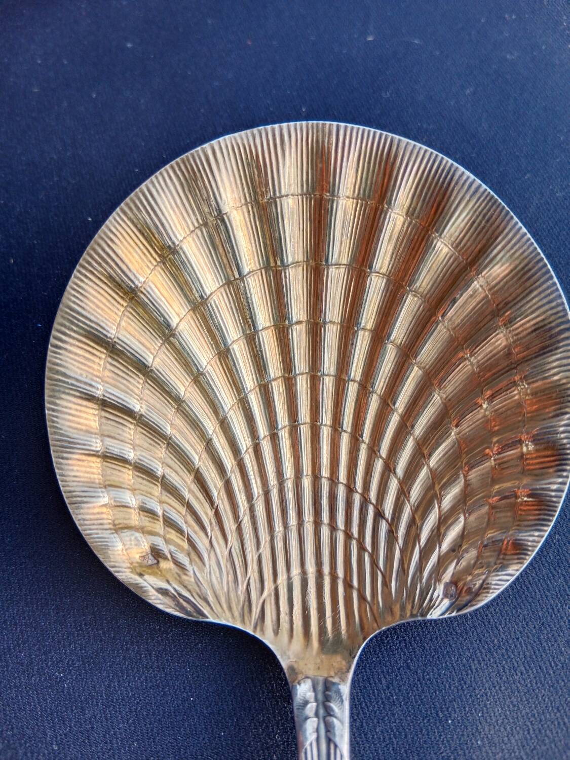 Strawberry shovel XIX.