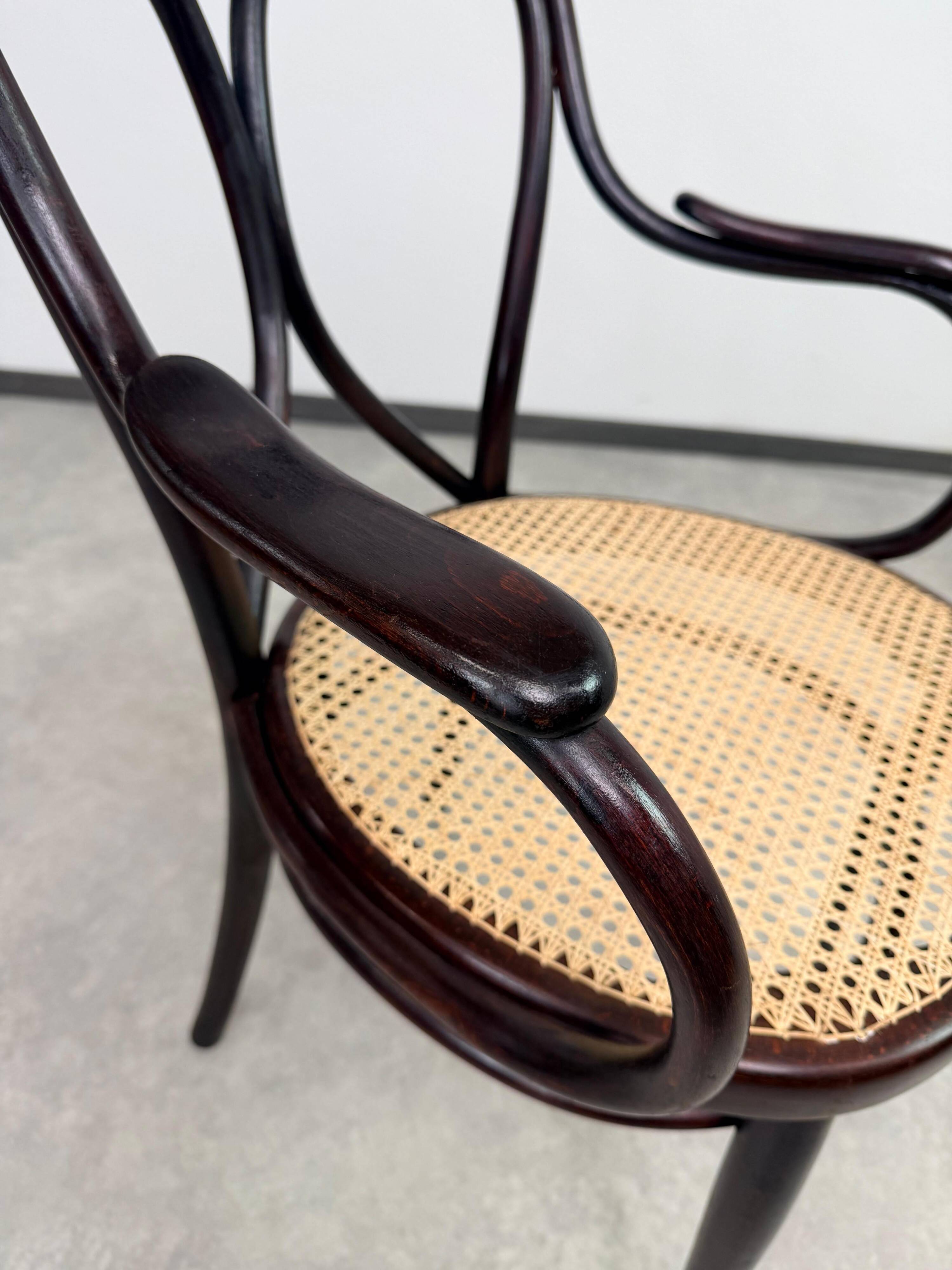 "Angel Back" armchair in bent wood no. 19 by Thonet
