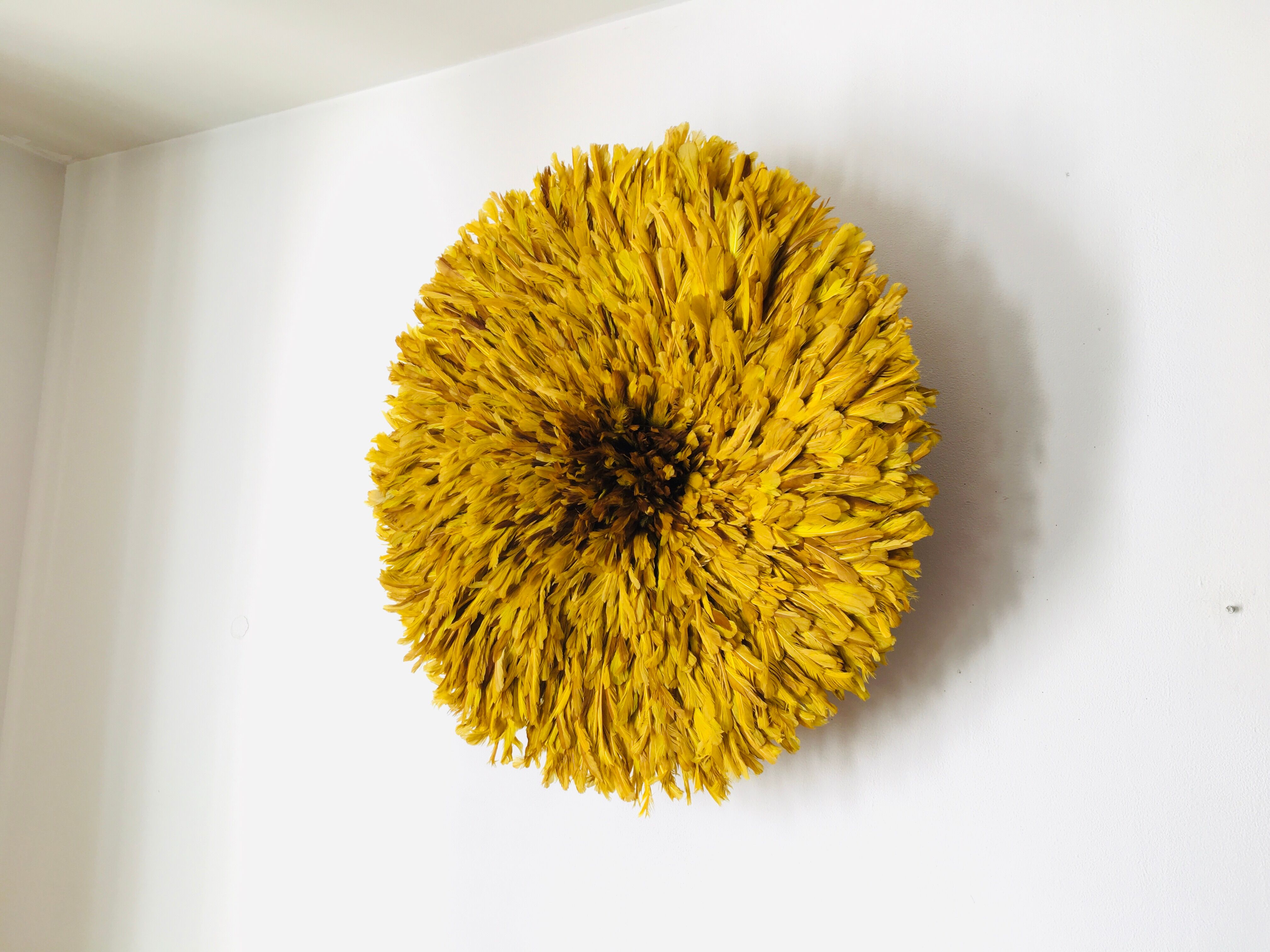 Yellow Jujuhat 80 cm