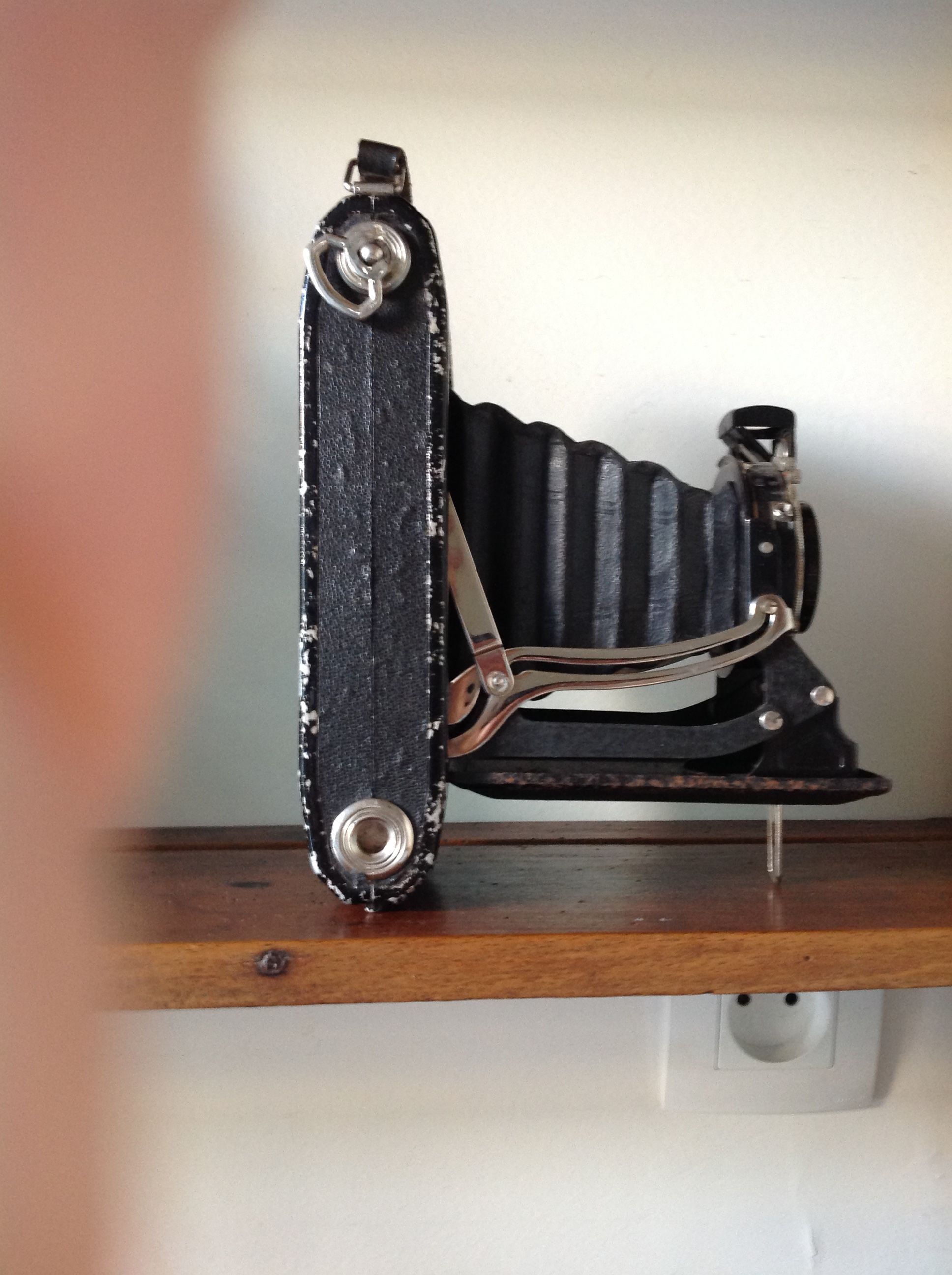 Zeiss Ikon bellows camera with its saddlebag