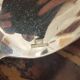 Christofle - Set of 12 table spoons model Spatours - Silver-plated metal