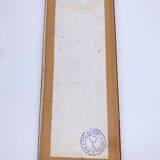 Frame naturalized vintage butterflies