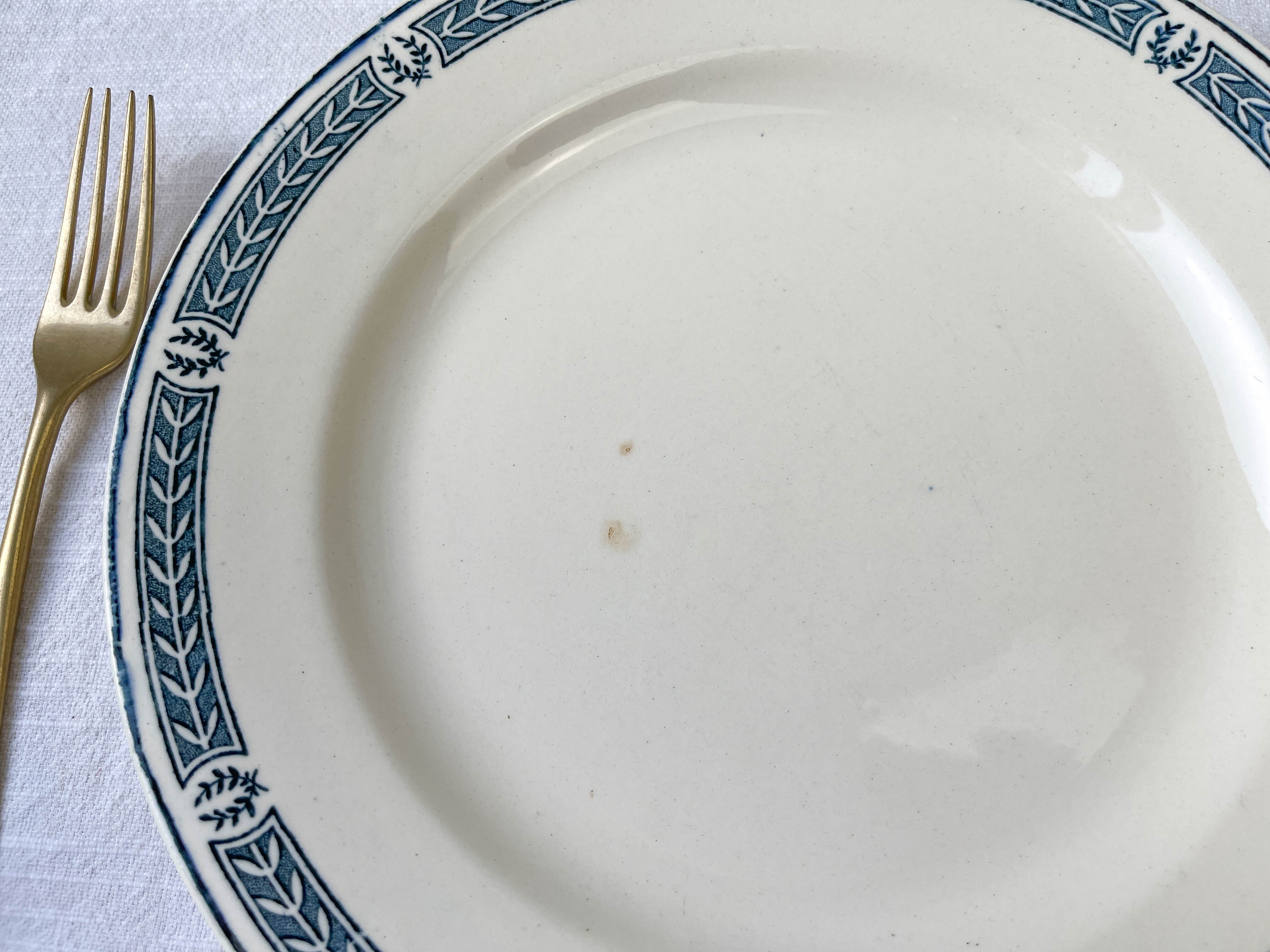 9 vintage flat plates iron earth salins model "castellane"