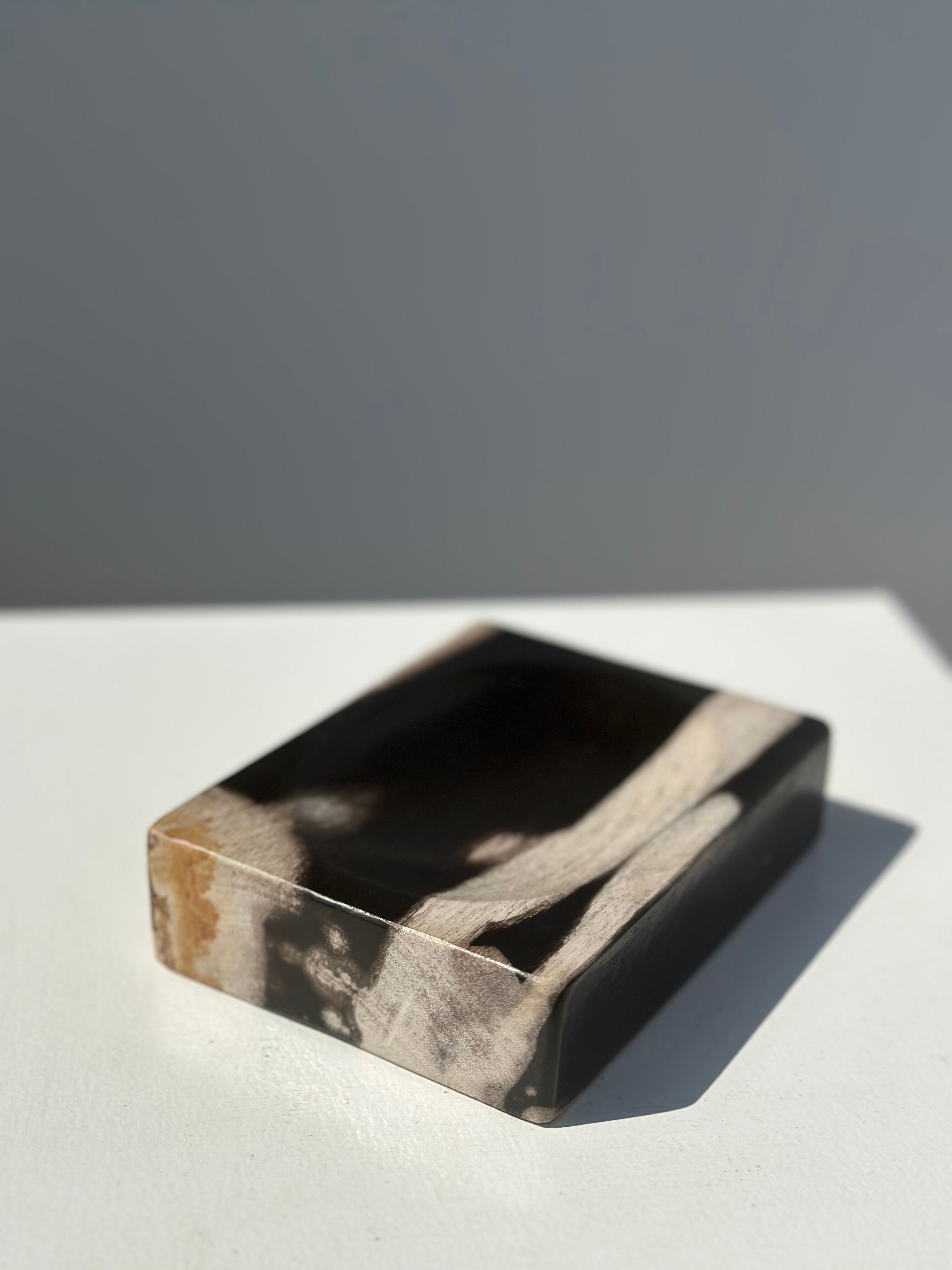 Symmetrical multicolored petrified wood soap dish