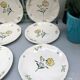 Lots of 6 flat plates model embrun, with floral motifs. Stamped Salins France